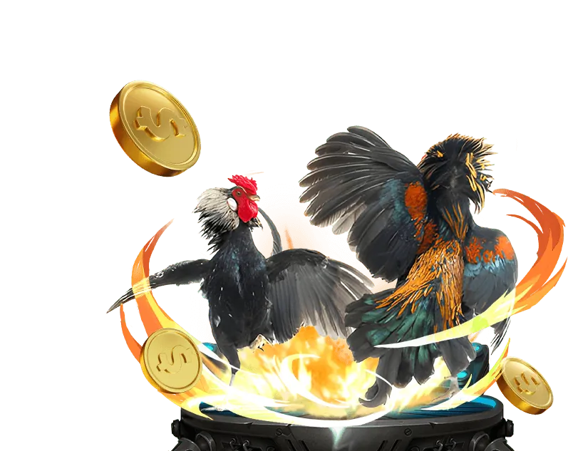 Mẹo và chiến thuật đặt cược hiệu quả trong đá gà trực tiếp 88